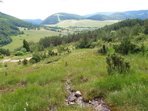 Zliechov Draštiná pohľad na lokalitu zhora