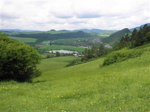 pohľad na sukcesiu drevín (vľavo), spodná časť kosená, horná nekosená