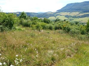Horná Poruba Pod Vápčom2 pohľad na lokalitu detailnejší