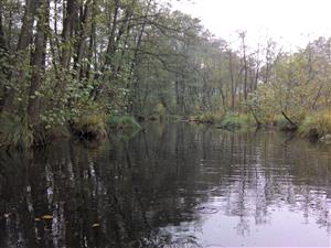 koniec TMP