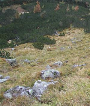 monitorovacia plocha
