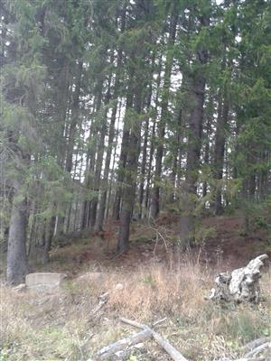 plocha Poľana Hriňová