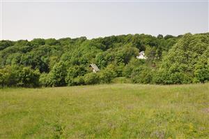 južná časť polygónu (spodná časť svahu) - máj