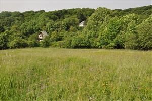 južná časť polygónu