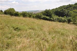 centrálna a východná časť (júl)