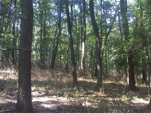 fotografia je so súradnicami