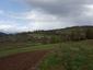 krkavec čierny (16.4.2023)