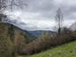 krkavec čierny (24.4.2023)