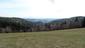 krkavec čierny (16.4.2023)