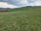 bocian čierny (24.4.2023)