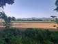trasochvost biely (7.5.2023)