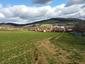 Včelár lesný (včelár obyčajný) (26.3.2023)