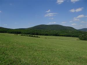 Pohľad na lokalitu TML_6510_805 k. ú. Šiatorská Bukovinka z juhu.