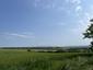 Sýkorka veľká ( bielolíca) (26.5.2023)