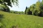 Sýkorka veľká ( bielolíca) (31.5.2023)