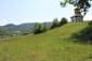 brhlík lesný (obyčajný) (31.5.2023)