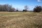 sova lesná (obyčajná) (21.3.2023)