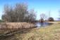 sova lesná (obyčajná) (21.3.2023)
