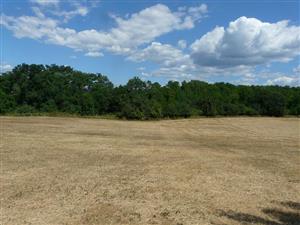 Horné Žemberovce - kosená lúka