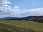 krkavec čierny (1.6.2023)