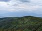 krkavec čierny (31.5.2023)