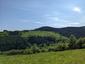 krkavec čierny (31.5.2023)