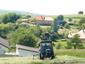 Vrana popolavá (1.6.2023)