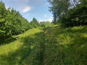 Pohľad na časť habitatu M. arion na lokalite Mirkovce.