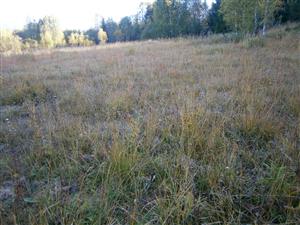 lokalita - severna časť TML