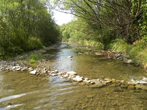 Zaciatok TML po prude