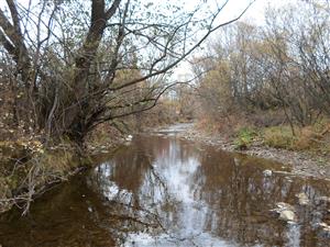 Zaciatok TML proti prudu