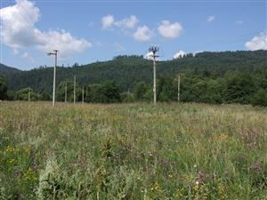 Pohľad na TML-biotop lk1