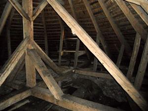 priestor nad presbytériom s výskytom netopierov