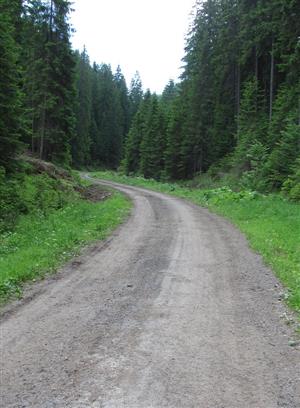Pohľad na TML