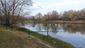 hlaholka severská (15.4.2023)