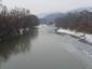 chochlačka vrkočatá (19.3.2023)