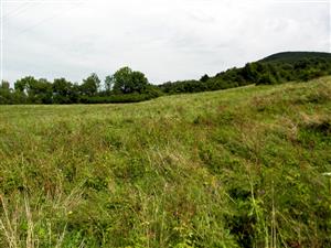 pohlad na lokalitu od juhu