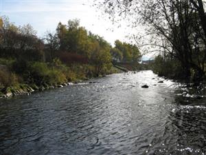 Začiatok TML