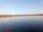kršiak rybár (rybožravý) (19.2.2023)