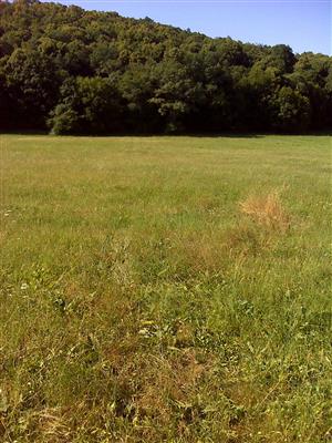 Záber na monitorovaný biotop.