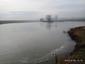 kršiak rybár (rybožravý) (16.10.2022)