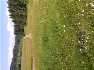 pohľad na  lokalitu