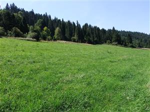 Pohľad západným smerom na biotop Lk1 (južná časť TML) 