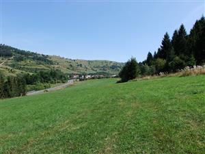 Pohľad východným smerom  na biotop Lk1  (južná časť TML) 