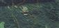 Mapa TML_6230_267