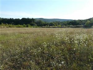 Lúka pri poľovníckej chate Berianka