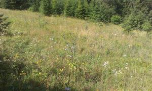 Južná časť lokality