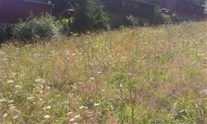 Severná časť lokality