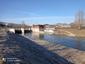 kršiak rybár (rybožravý) (17.3.2023)