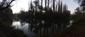 Potápač malý (16.4.2023)